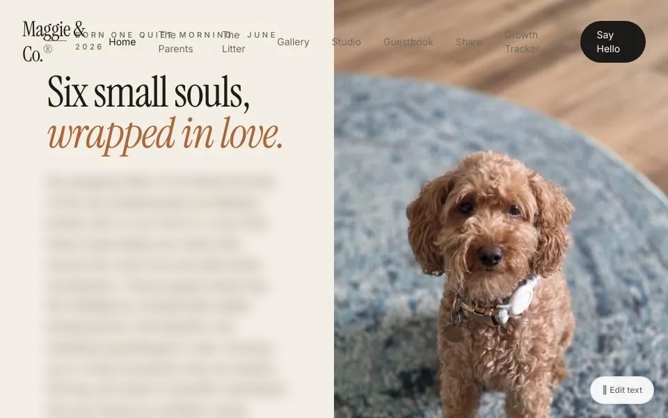 Homepage of the Maggie and Co. family site: Six small souls, wrapped in love, with a photo of Maggie the dog